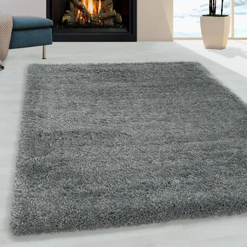 Moelleux - Tapis Cosy à Poils Longs - Gris Clair 160 X 230 Cm
