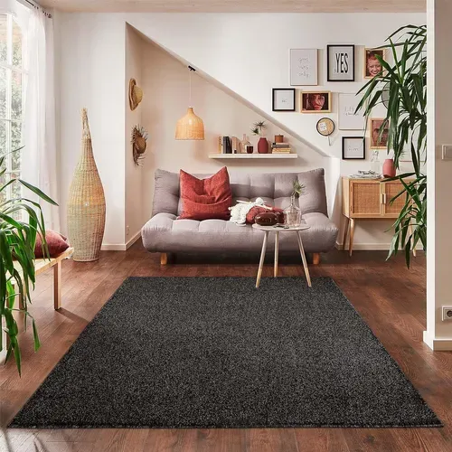 Tapis Uni De Salon Chambre Relax Sobre Et Epuré - Anthracite 280 X 370 Cm