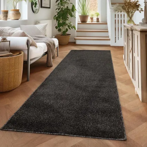 Tapis Uni De Salon Chambre Relax Sobre Et Epuré - Anthracite 280 X 370 Cm