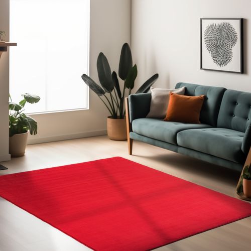 Tapis Lavable En Microfibre Douce - Rouge 120x170cm