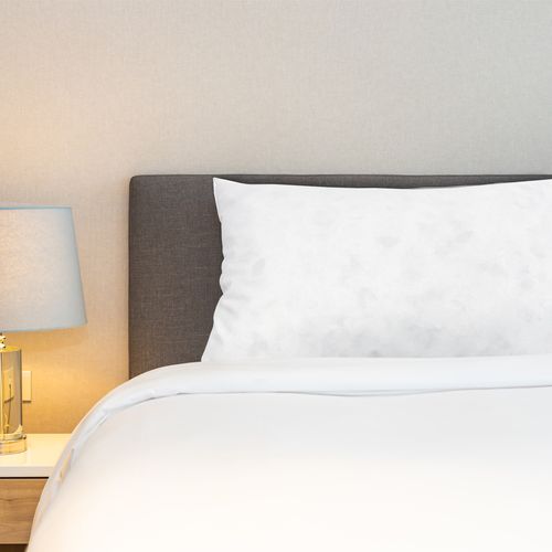 Lot De 2 Oreillers Chambord 45x70 Cm Duvet et Plumes