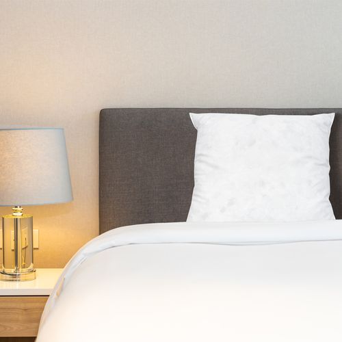 Lot De 2 Oreillers Chambord 65x65 Cm Duvet et Plumes
