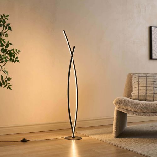 Lampadaire Noir Dimmable Avec Bras LED Entrelacés - Elzo