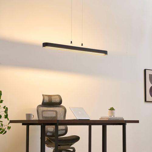 Suspension Ovale Noire 115 Cm éclairage LED Dimmable - Oswin