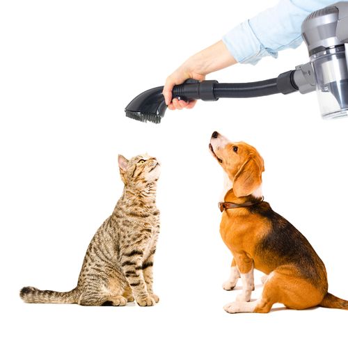 Aspirateur Balai 2 en 1 Rechargeable Animaux Silent Noir Aluminium 160w - 22.2v - Bat-h20bpet