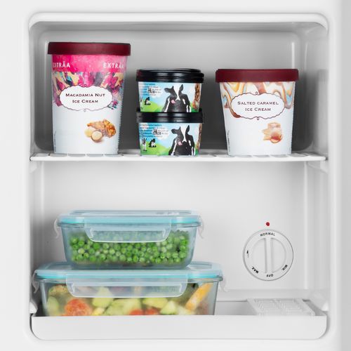 Mini Congélateur Pose Libre - Fgw400