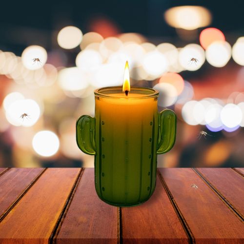 Bougie Citronnelle Cactus En Pot – Anti-moustique Extérieur Durable