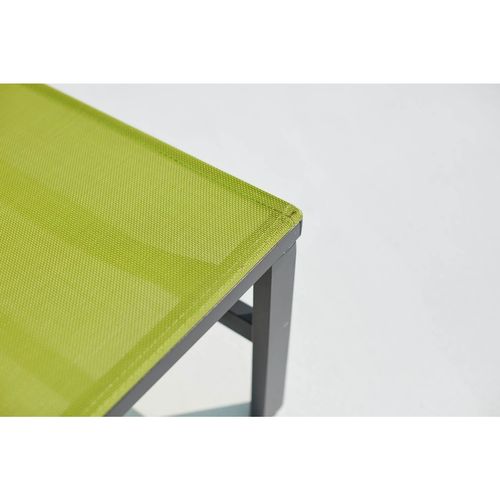 Bari - Lot De 2 Transats Gris Foncé et Vert En Aluminium