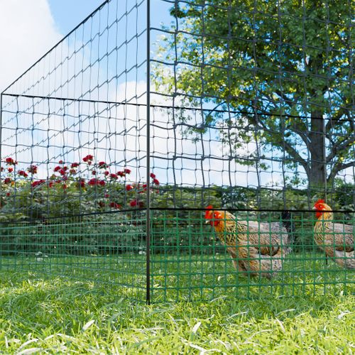 Kit Filet  Clôtures Pour Poules 12m Avec 5 Piquets Double Pointes. Modulable. Porte D'accès.