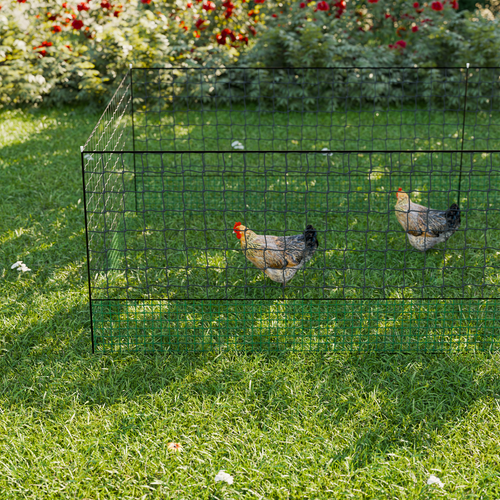 Kit Filet Clôtures Pour Poules 50m Avec 14 Piquets Double Pointes. Modulable. Porte D'accès.