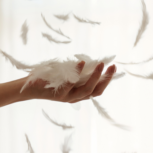 Cozy Couette - 140x200cm - 100% Plume De Canard - Drimz By Morphea