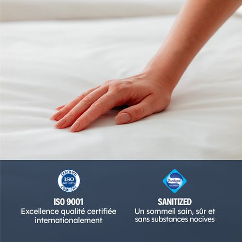 Taies D'oreillers 65x65cm - Baby's Breath - Percale De Coton