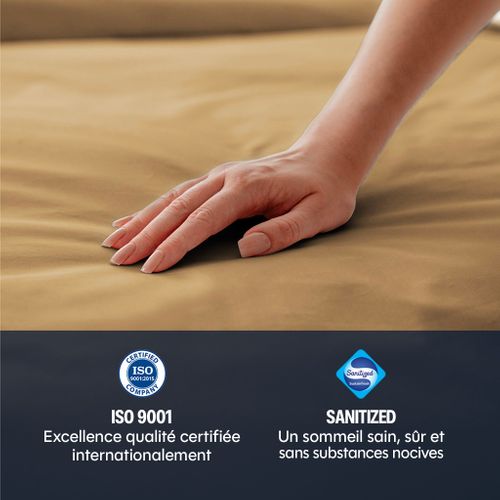 Housse De Couette 220x240cm - Safari - Satin De Coton