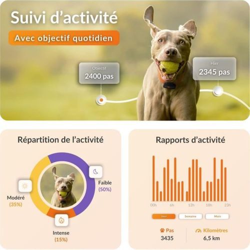 Traceur Gps Xs Édition Noire 2023 – Compact, Étanche, Suivi En Temps Réel