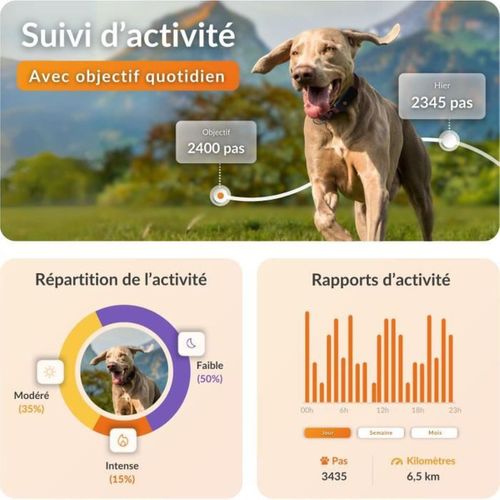 Collier Gps Étanche Pour Chien - Antenne Xl, LED, Collier Julius-k9