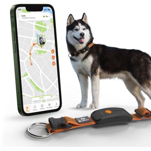 Collier Gps Étanche Pour Chien - Antenne Xl, LED, Collier Julius-k9