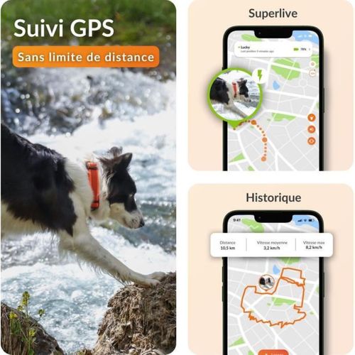 Collier Gps Étanche Pour Chien - Antenne Xl, LED, Collier Julius-k9