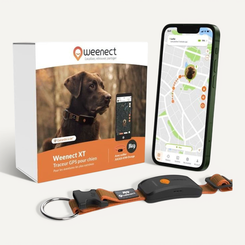 Collier Gps Étanche Pour Chien - Antenne Xl, LED, Collier Julius-k9