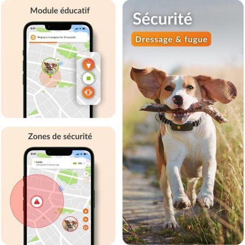 Collier Gps Étanche Pour Chien - Antenne Xl, LED, Collier Julius-k9