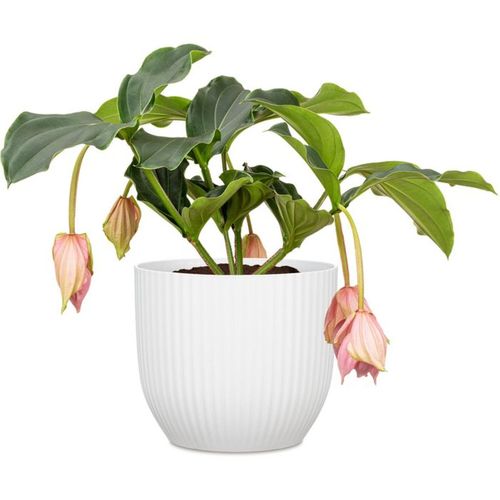 Cache-pot Rond 27 Cm Chalk White - 10 L, Plastique Recyclable