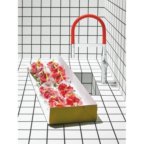 Mitigeur Évier Semi-professionnel Essence 30294000 - Bec Pivotant 360° - Limiteur De Température