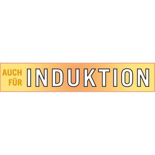 Rigo 26 Cm - Faitout 10 L Inox Induction, Couvercle Verre, Poignées Isolantes