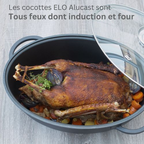 Cocotte 38 X 25 Cm En Fonte Aluminium Antiadhésive 7 L Alucast