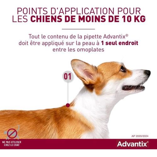 Advantix Chien Solution Antiparasitaire Petite Race 4 à 10kg 6 Pipettes
