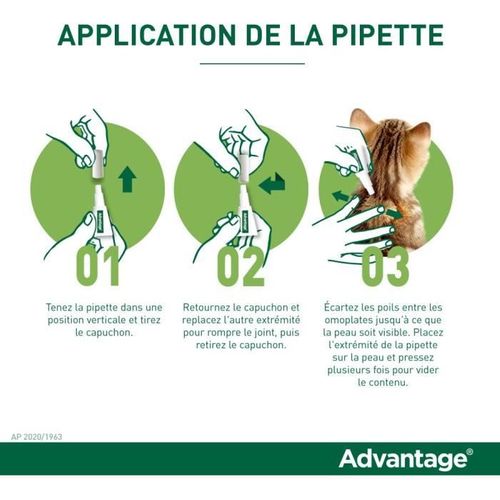 Solution Antipuce Chat Lapin 1 à 4kg 4 Pipettes