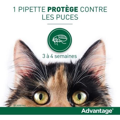 Solution Antipuce Chat Lapin 1 à 4kg 4 Pipettes