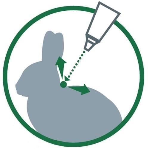 Solution Antipuce Chat Lapin 1 à 4kg 4 Pipettes