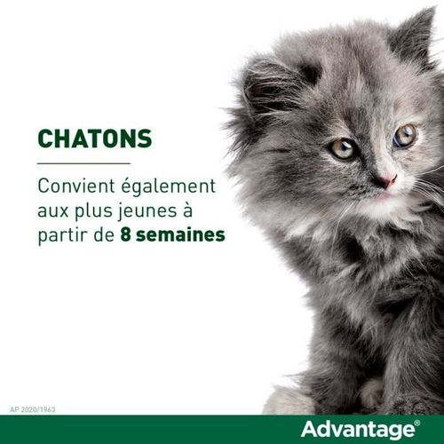 Solution Antipuce Chat Lapin +4kg 6 Pipettes