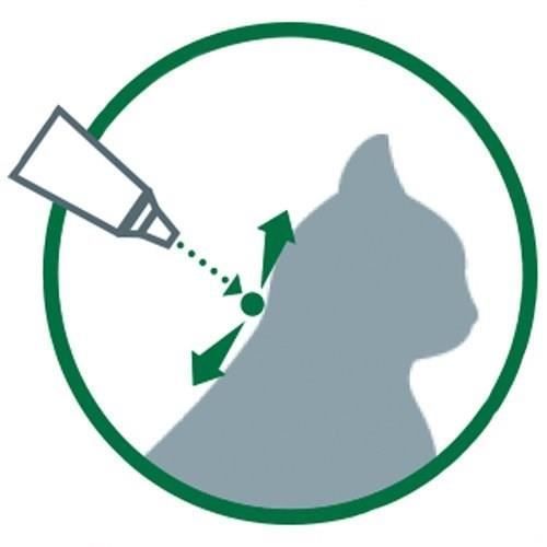 Solution Antipuce Chat Lapin +4kg 6 Pipettes