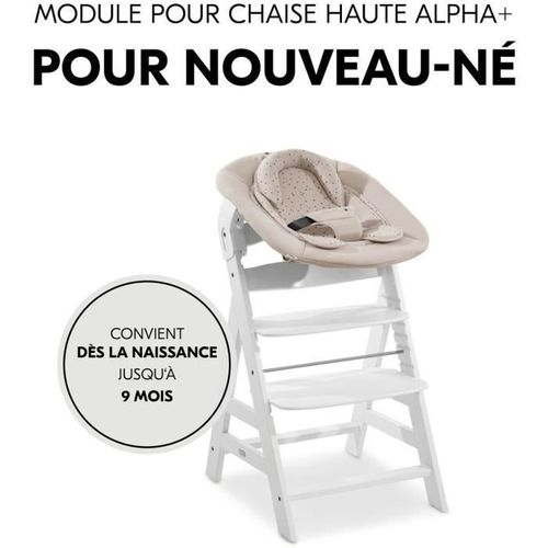 Transat - Alpha Bouncer 2-en-1 - Des La Naissance - Harnais 3 Points - Winnie L'ourson Beige