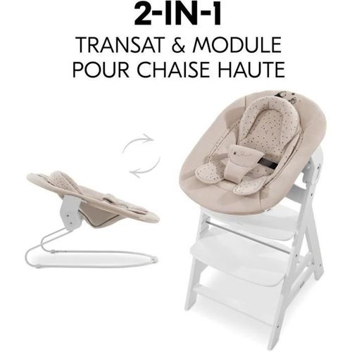 Transat - Alpha Bouncer 2-en-1 - Des La Naissance - Harnais 3 Points - Winnie L'ourson Beige