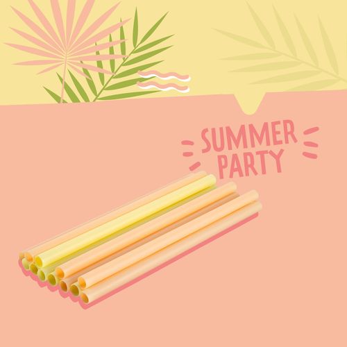 Lot De 12 Pailles Coloré En Plastique 20 Cm Fackelmann Summer Party