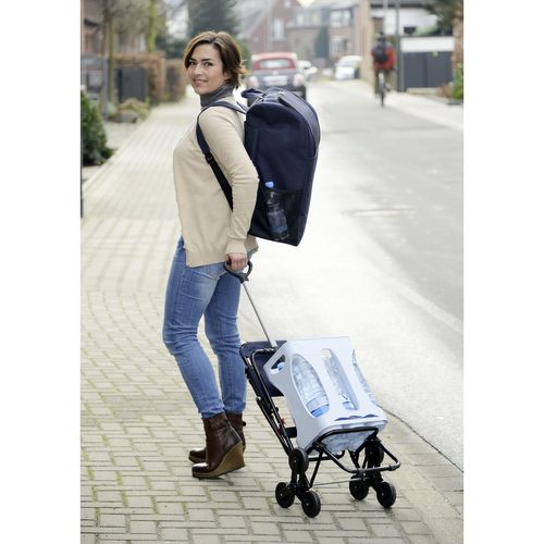Chariot De Courses Avec Siège - Sac Isotherme 35 L - Bleu Foncé