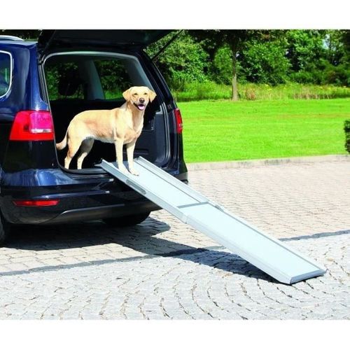 Rampe Télescopique Pour Chien 100–180 Cm, Aluminium, Antidérapante, 120 Kg