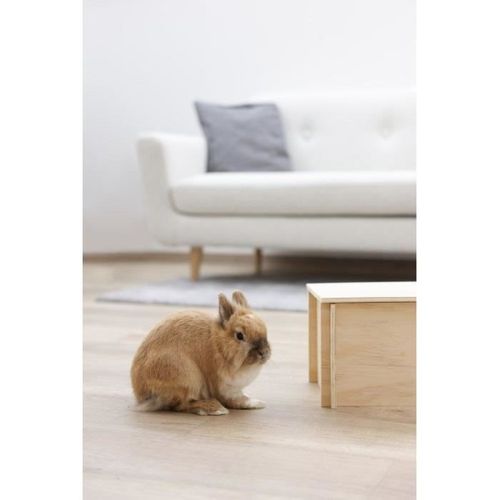 Maison Pour Rongeur - 81829 - 38 X 23 X 19 Cm