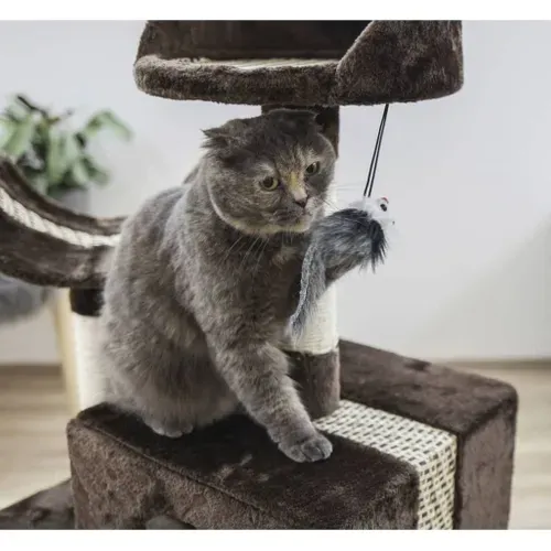 Arbre À Chat Safari Big 122 Cm Marron Foncé