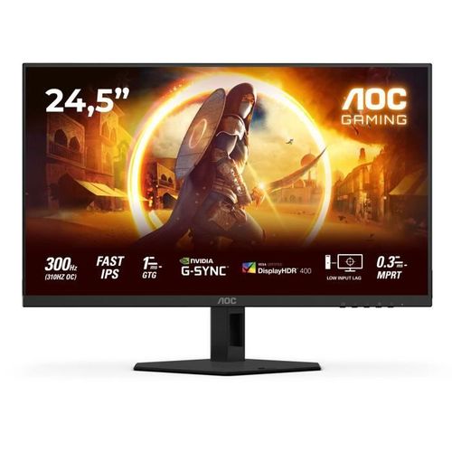 Ecran PC Gamer - Fhd - 24,5'' - 300hz- Fast Ips - 0,3ms - 25g4sre