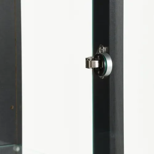 Vitrine 1 porte EVA noir vue accessoires