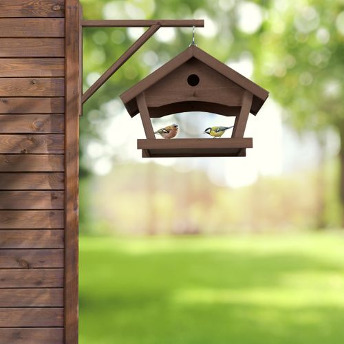 Mangeoire Oiseaux, Mangeoire Oiseaux Exterieur, Mangeoire Oiseaux