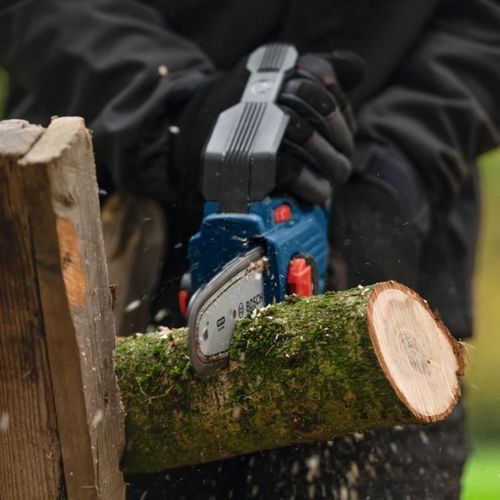 Élagueuse Sans Fil 18 V, Lame 30 Cm, Moteur Brushless, 1,75 Kg