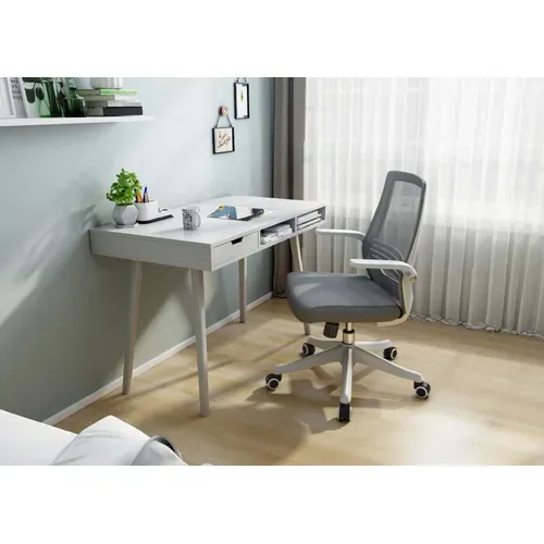 Sihoo Chaise De Bureau Ergonomique Moderne Accoudoir Relevable Gris