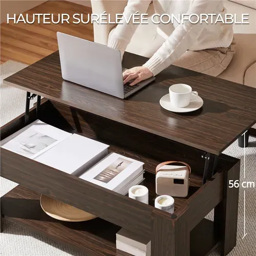 Table Basse Plateau Relevable Compartiment Caché Table De Salon à Café Moderne