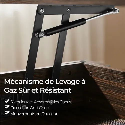 Table Basse Plateau Relevable Compartiment Caché Table De Salon à Café Moderne