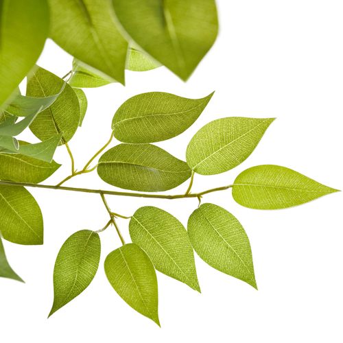 1 Ficus Artificiel Fida En Polyéthylène Vert