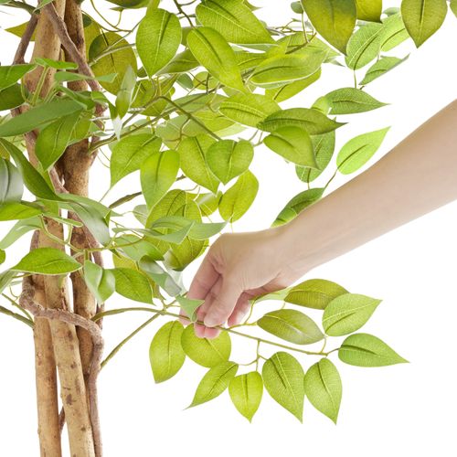 1 Ficus Artificiel Fida En Polyéthylène Vert