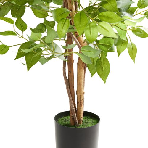 1 Ficus Artificiel Fida En Polyéthylène Vert